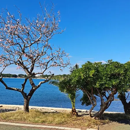 Gardelin Paklenica Апартаменты *