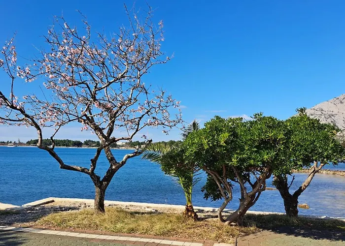 Gardelin Paklenica Апартаменты *